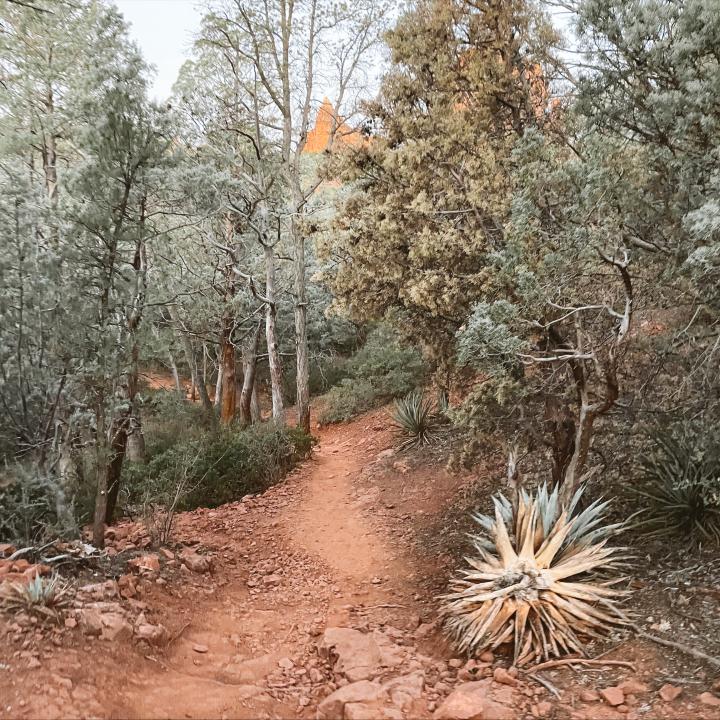 Hike Soldier Pass & Brins Mesa