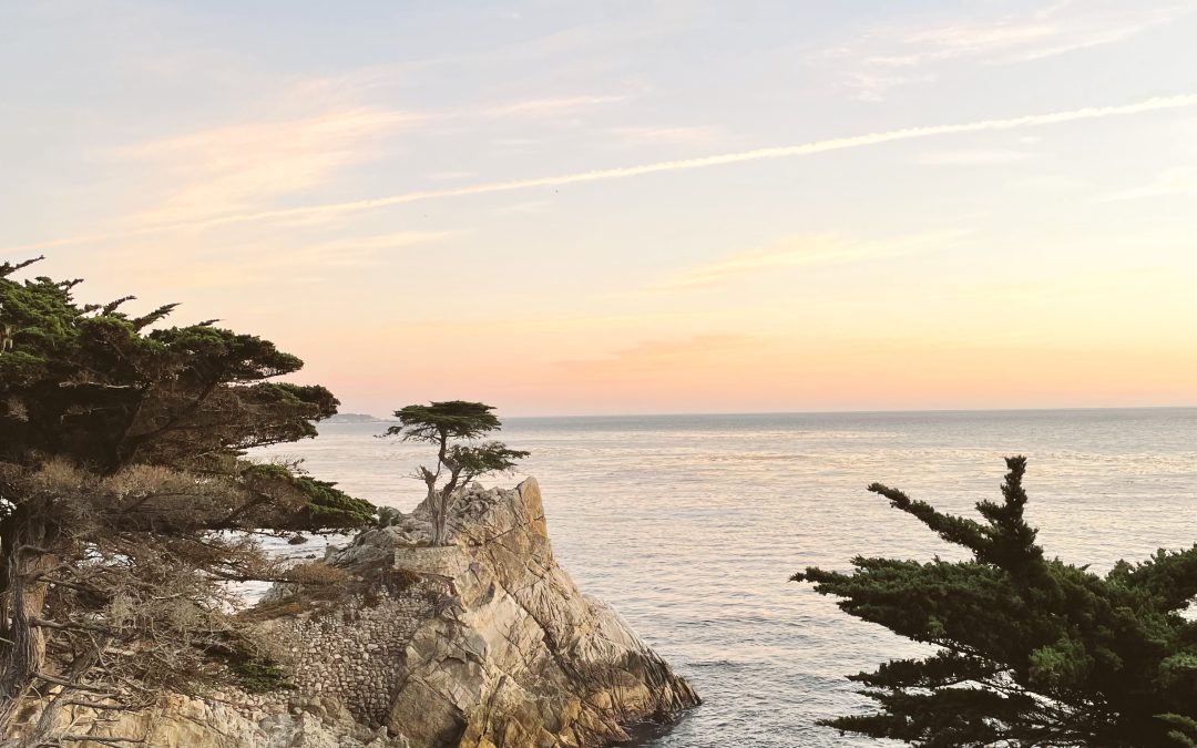 The 6 Best Things To Do In Carmel, California