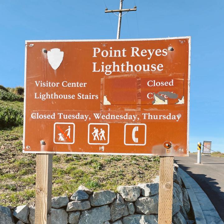 The Best Things To Do In Point Reyes