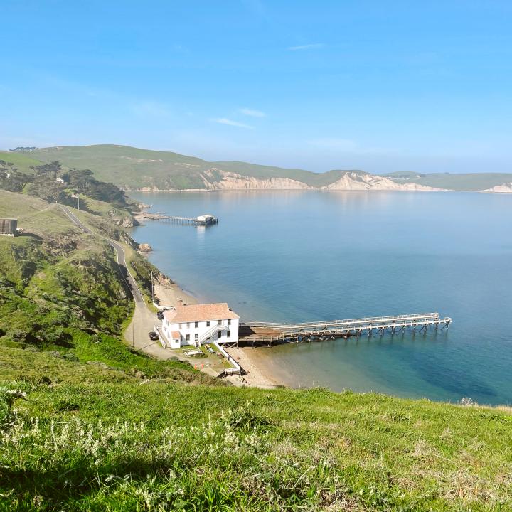Things To Do In Point Reyes