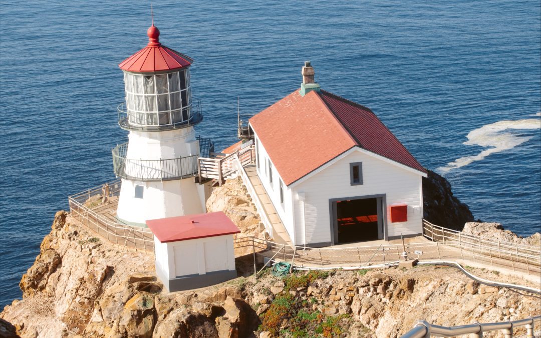 The Best Things To Do in Point Reyes, California