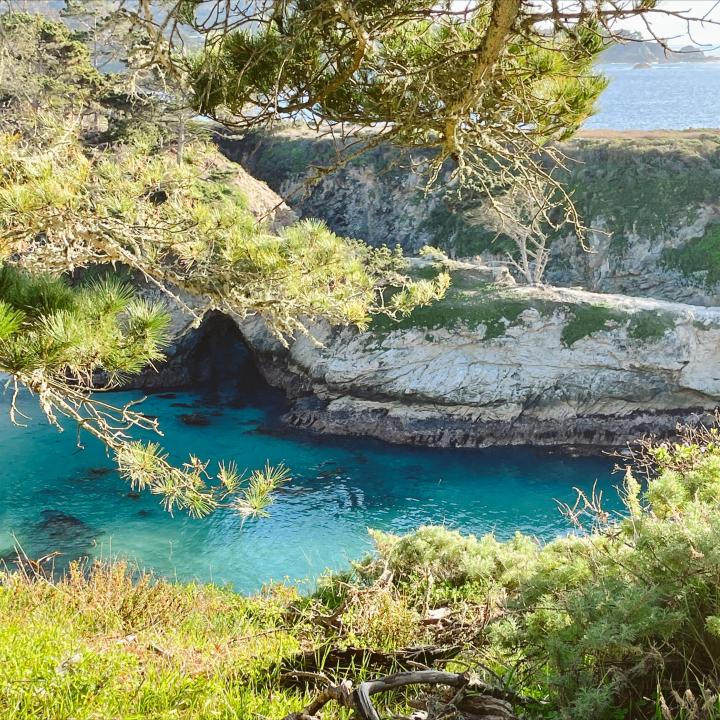 The Best Things To Do In Point Lobos State Natural Reserve - Carrie  Green-Zinn